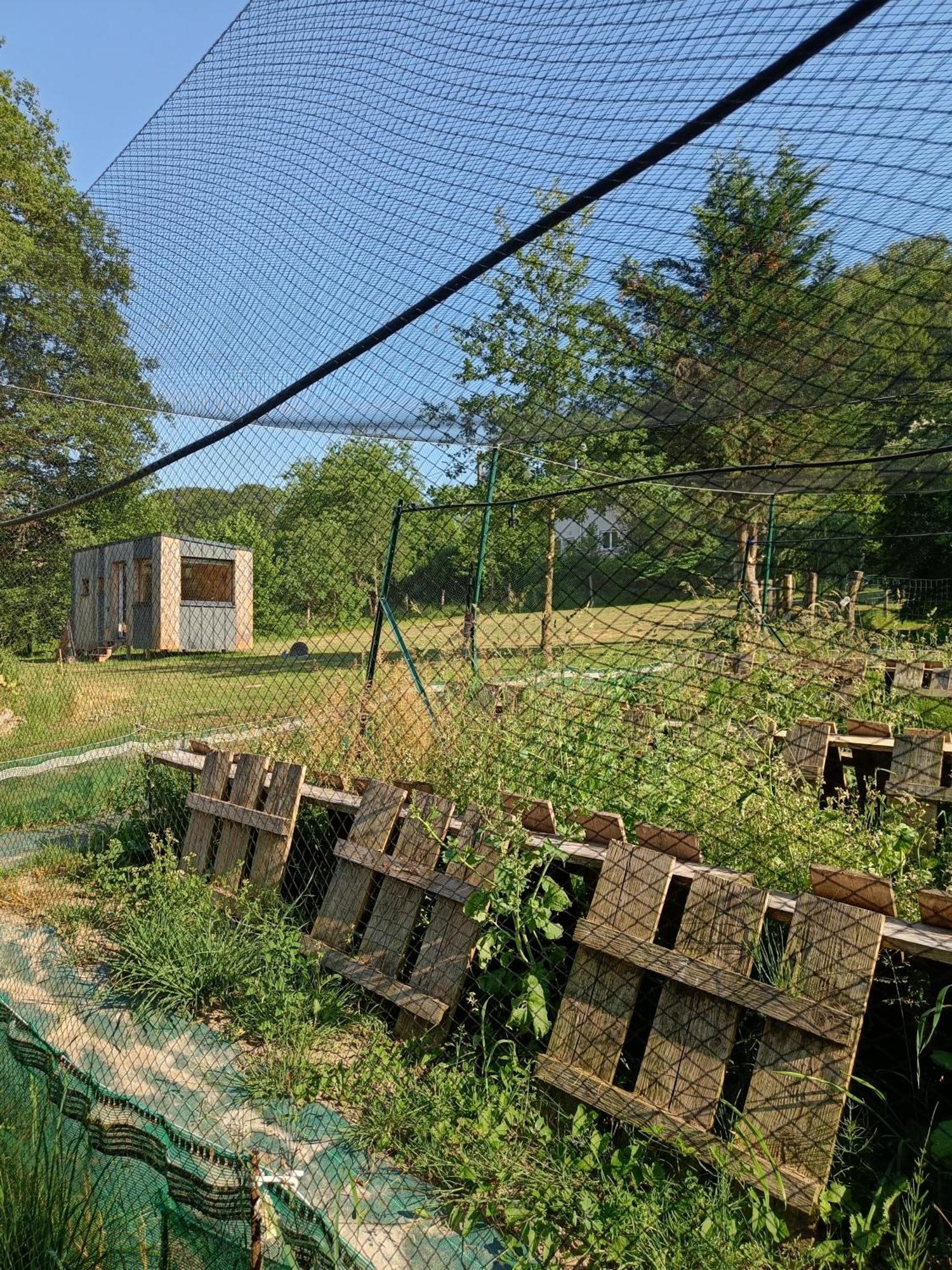 L'Escargoterie De La Forge - Immersion Champetre Uzemain Exteriör bild